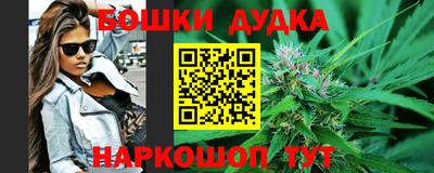 мдма Кингисепп