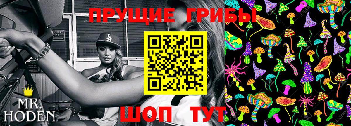 Ковров  купить   Вход с VPN  Галлюциногенные грибы Cubensis 